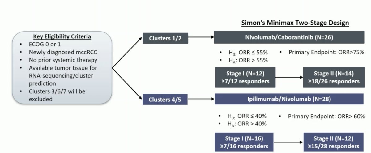 OPTIC RCC trial 