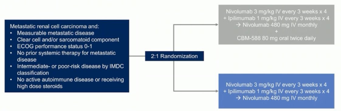 nivo ipi randomization