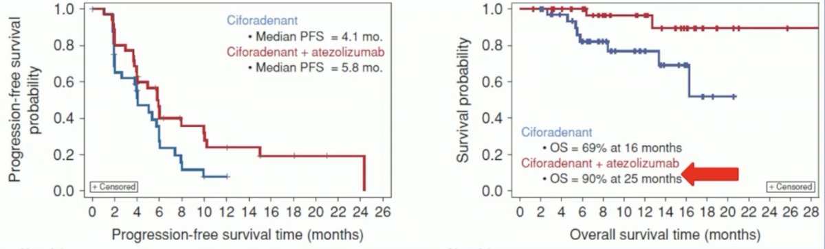 Ciforadenant survival