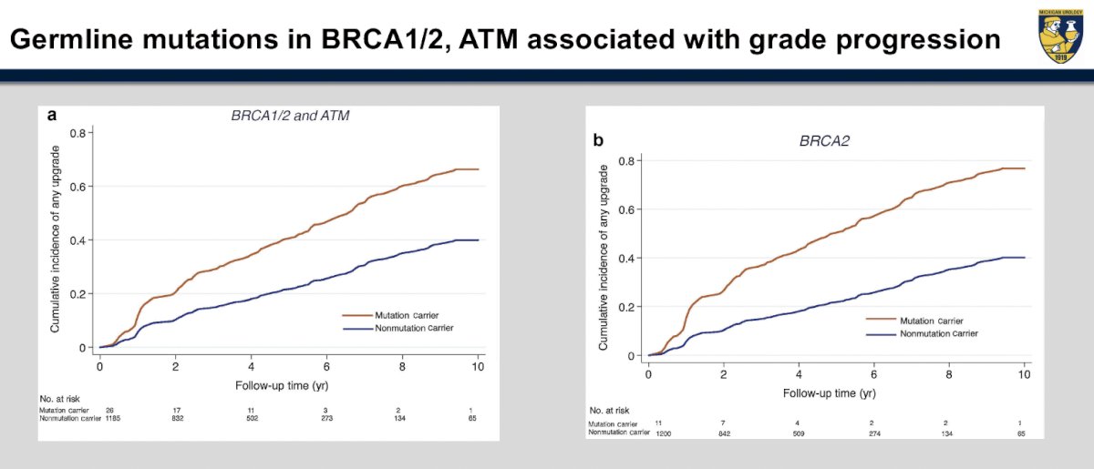 BRCA graphs