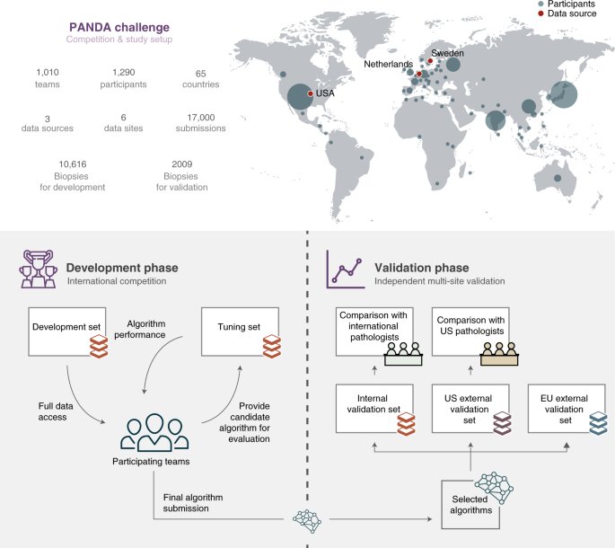 PANDA challenge map