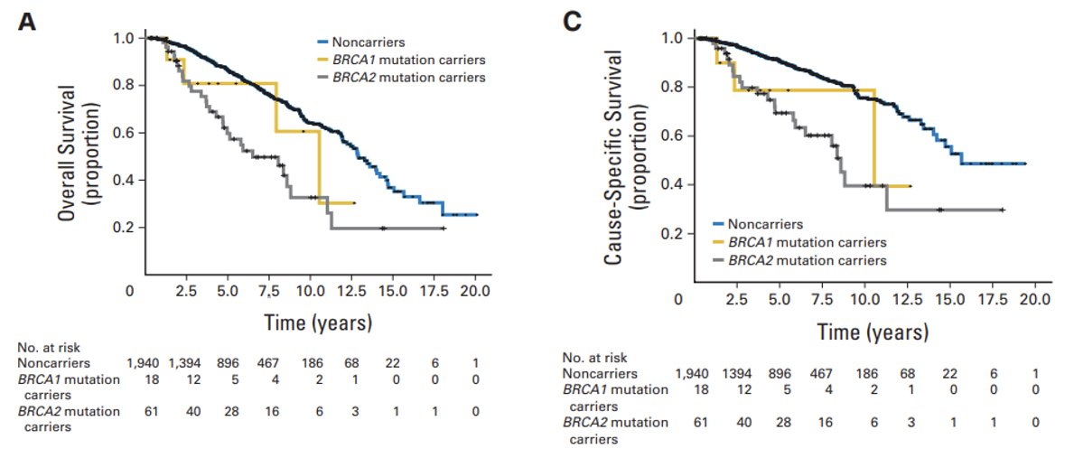  DNA repair gene mutations overall survival