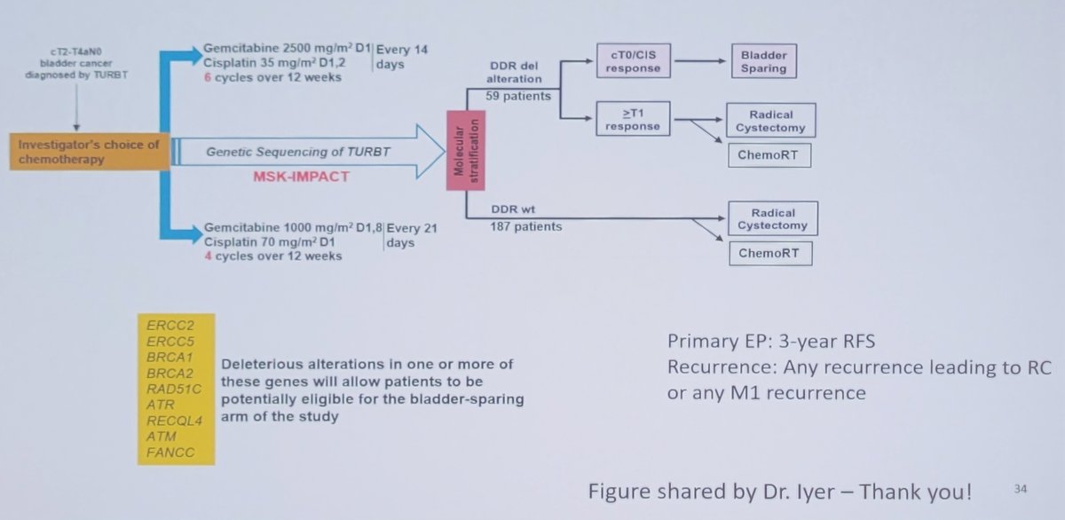 Alliance A031701 trial flow