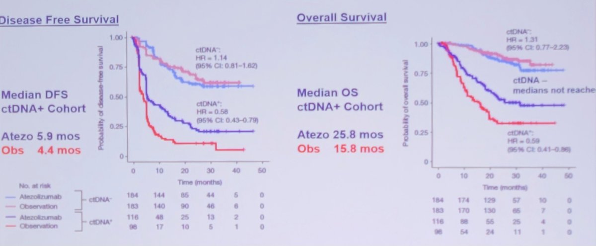 IMvigor010 trial survivals