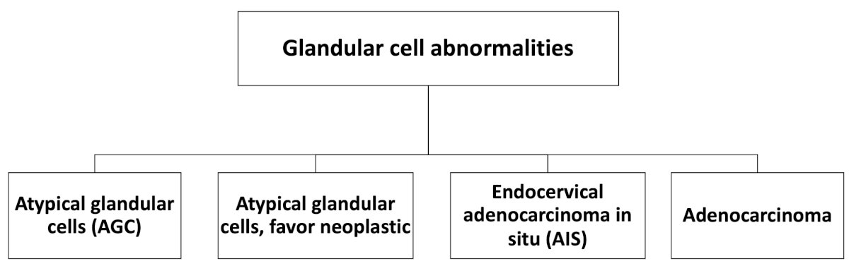 glandular cell abnormalities