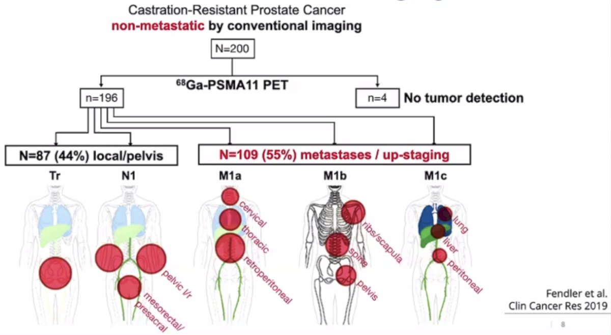 assess PSMA-PET detection rate for pelvic disease and distant metastasis