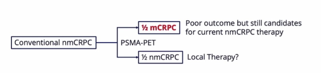 PSMA-PET detected lesions in 98% of high-risk nmCRPC patients, the PSMA PET detection of M1 disease was 55%, and PSMA PET polymetastatic disease (>= 5 metastases) and PSMA avidity (SUVmax) are prognostic factors