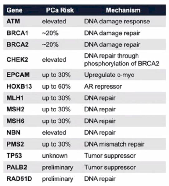 gene and prostate risk table