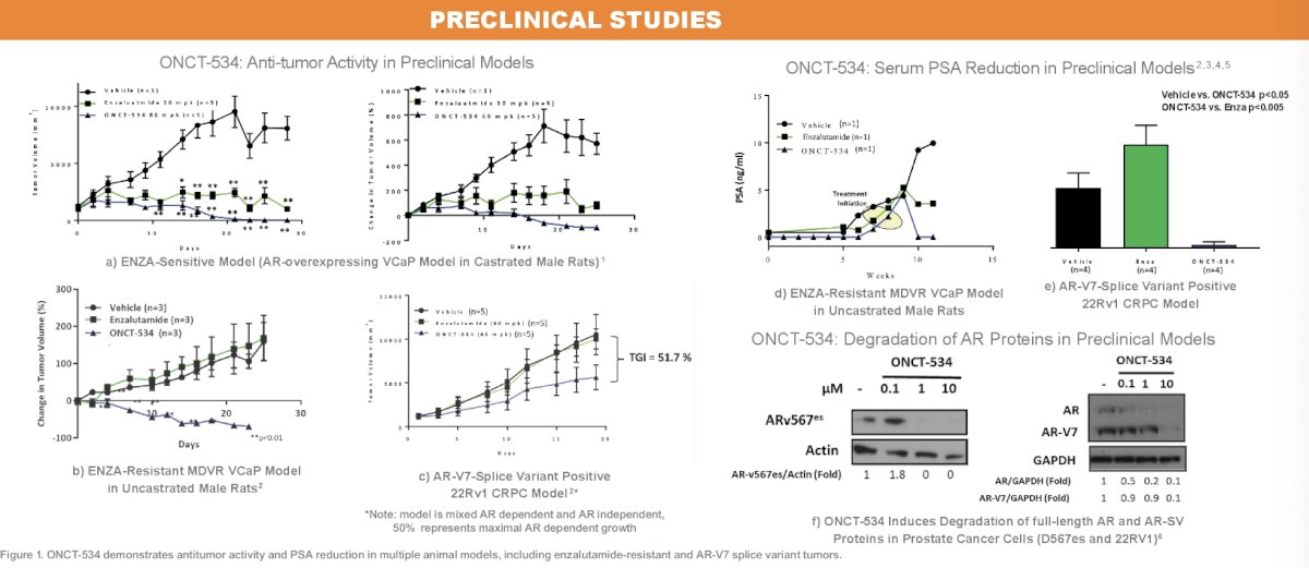 ONCT-534 pre clinical studies