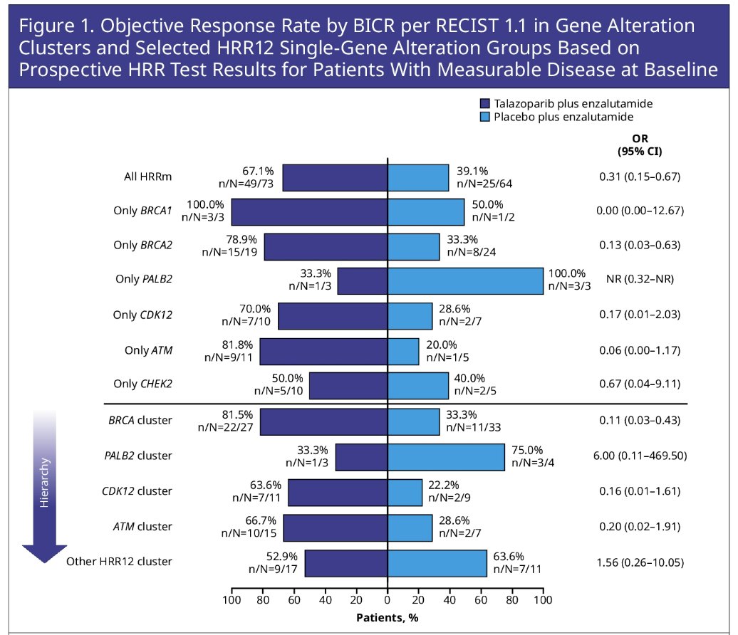 HRR12 gene cluster1