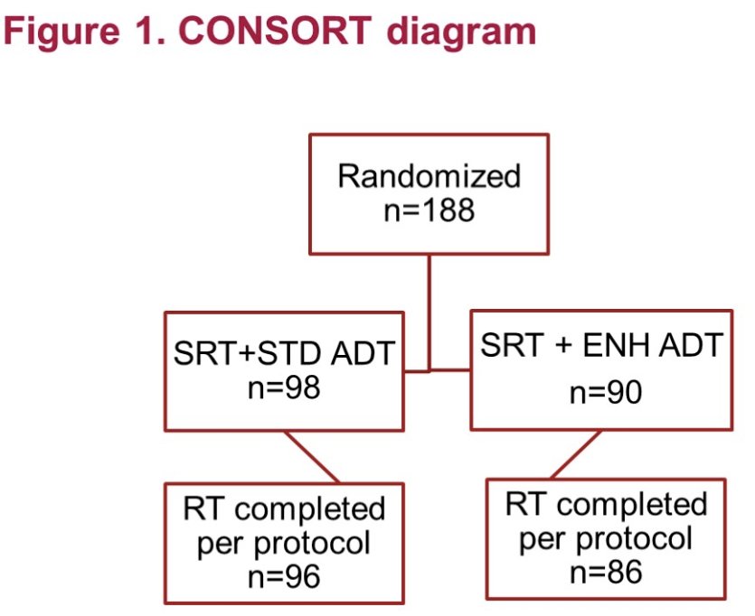 STEEL (RTOG 3506) consort diagram