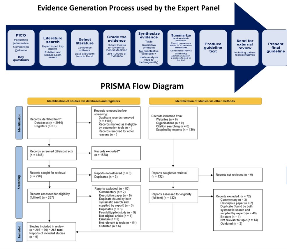 PRISMA flow diagram