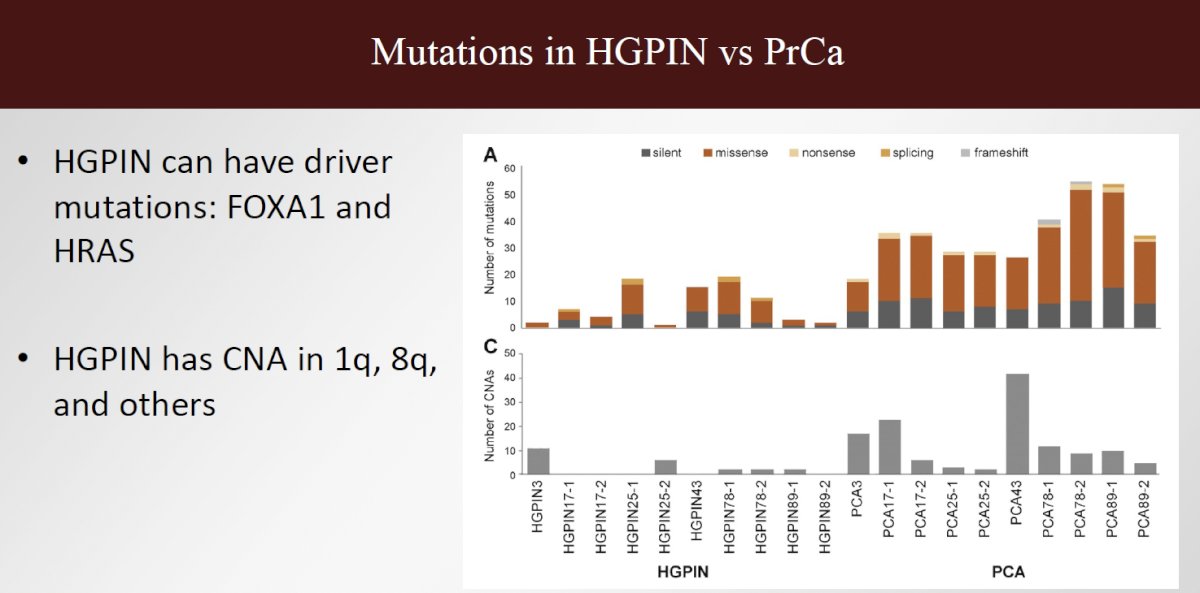 HGPIN that share a genomic profile with higher-grade lesions