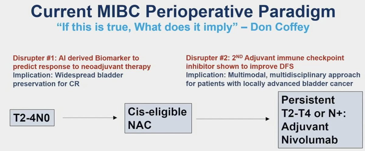current mibc perioperative paradigm