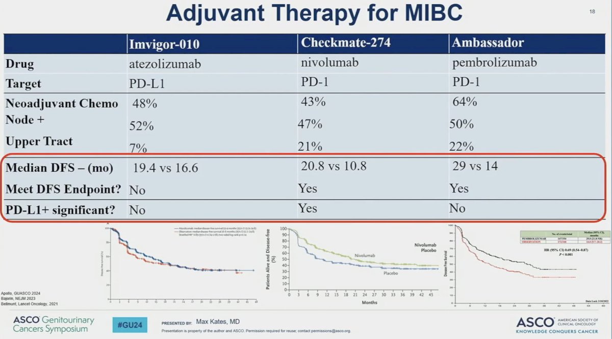 adjuvant therapy for MIBC