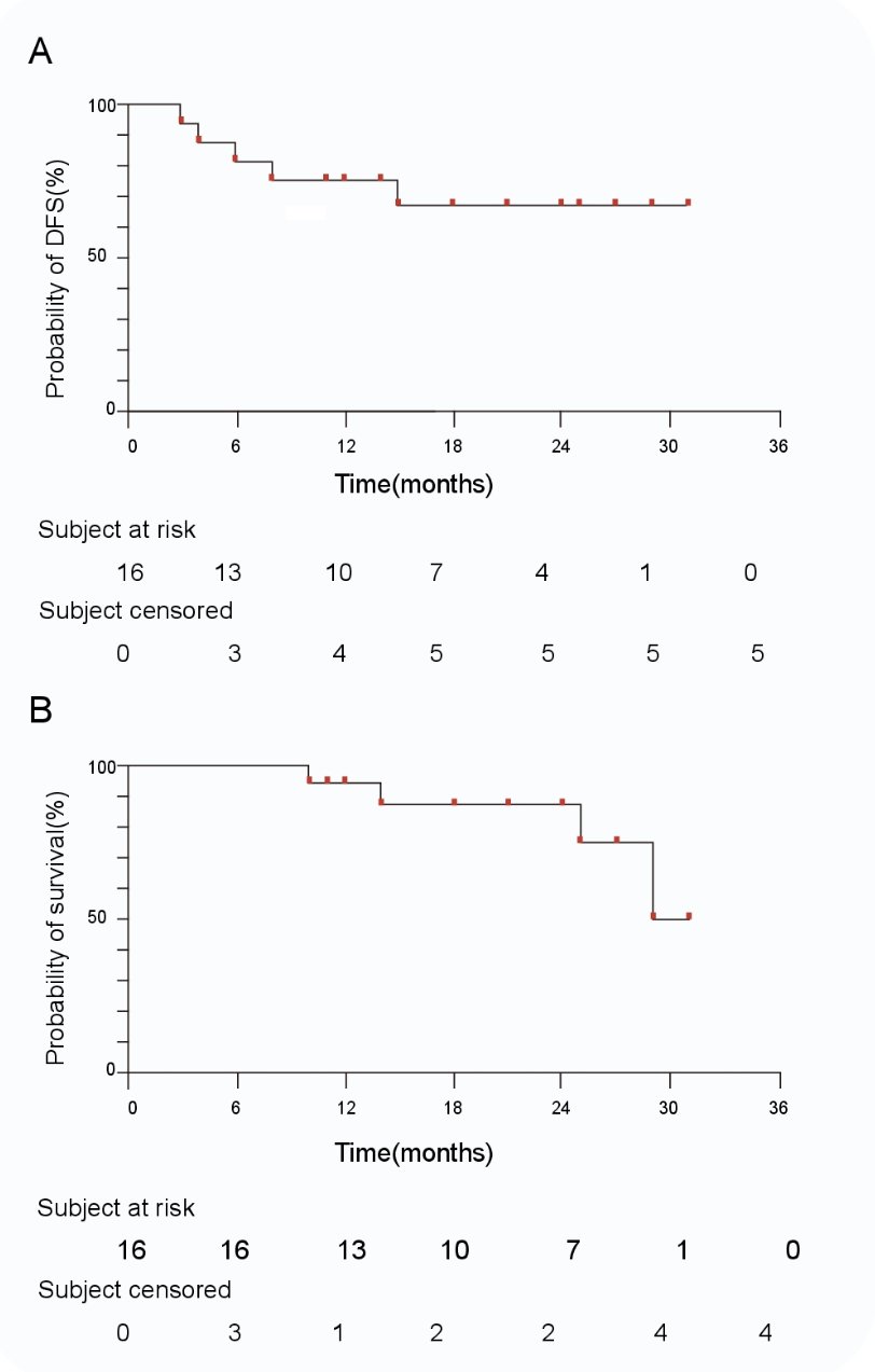 tislelizumab survival