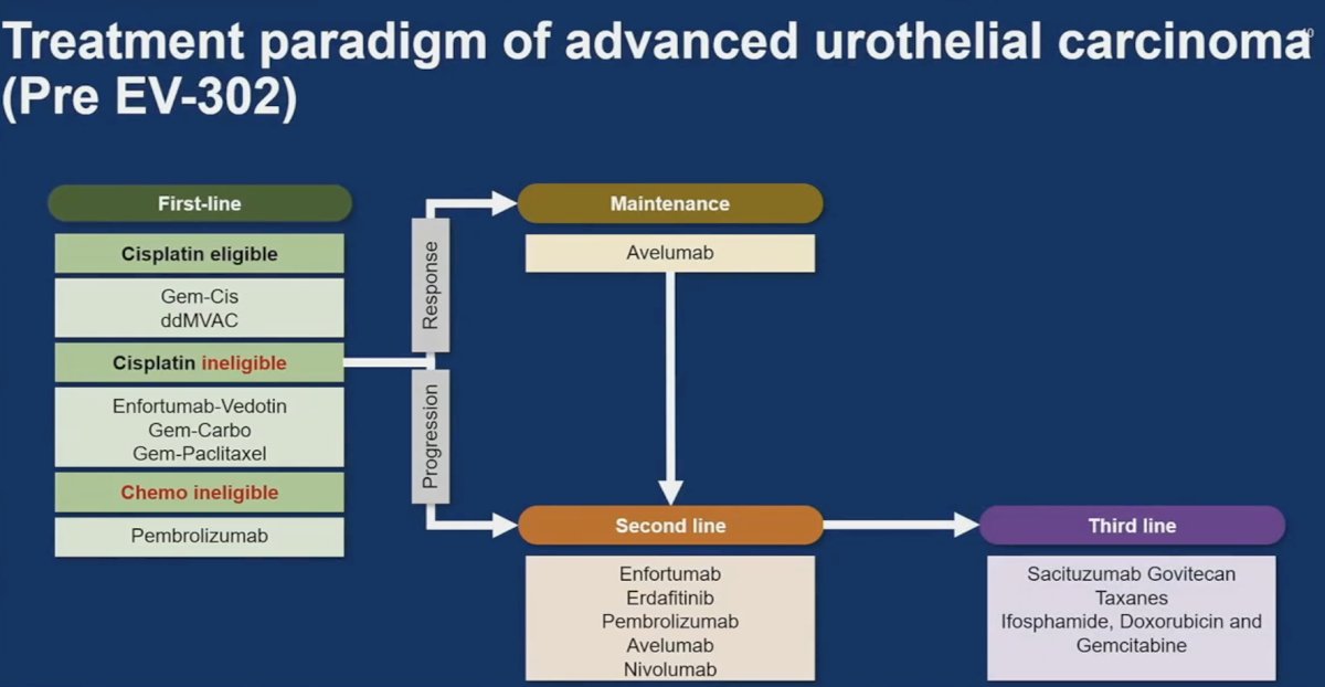 pre-EV-302 treatment paradigm of advanced urothelial carcinoma