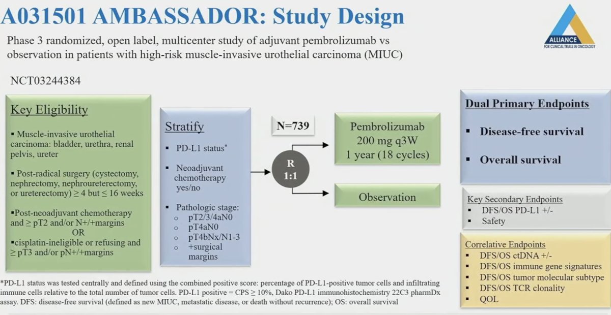 ASCO GU 2024 AMBASSADOR Alliance A031501 Phase III Randomized