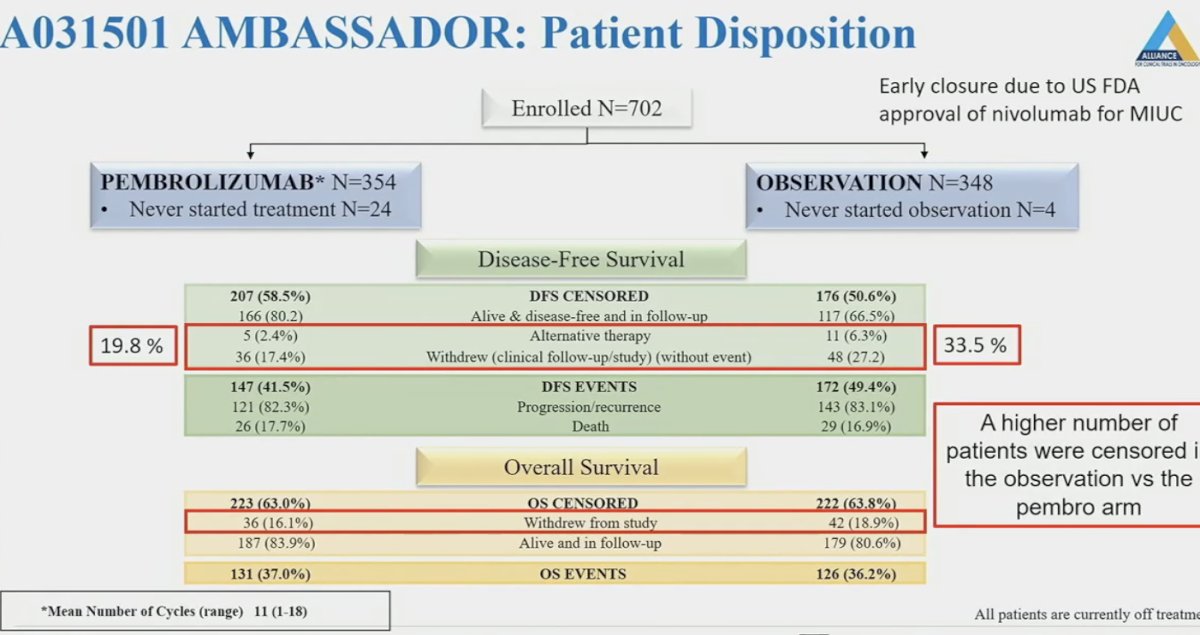 AMBASSADOR trial patient disposition