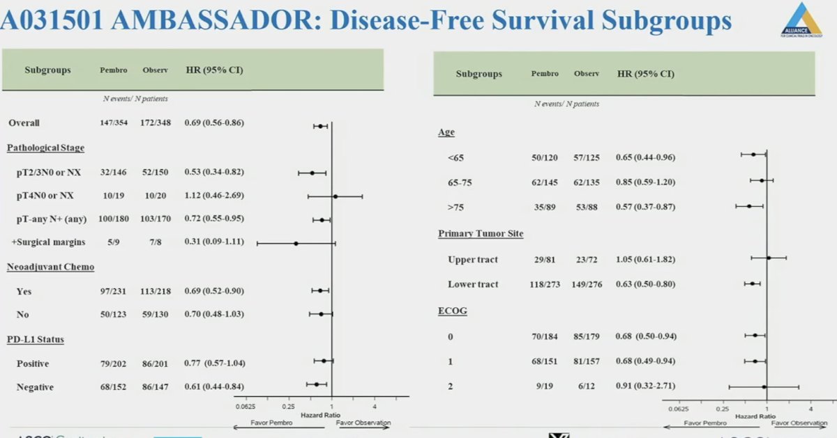 AMBASSADOR trial DFS sub groups