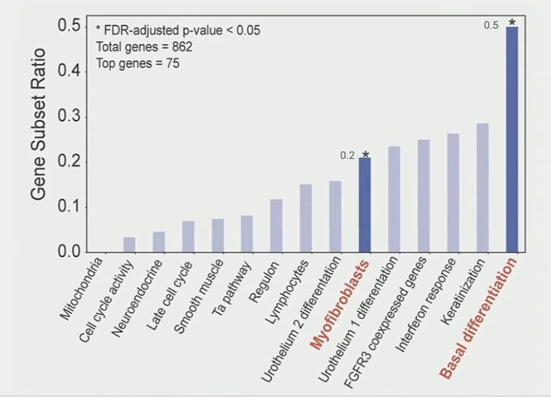 basal differentiation was significantly associated with a pCR