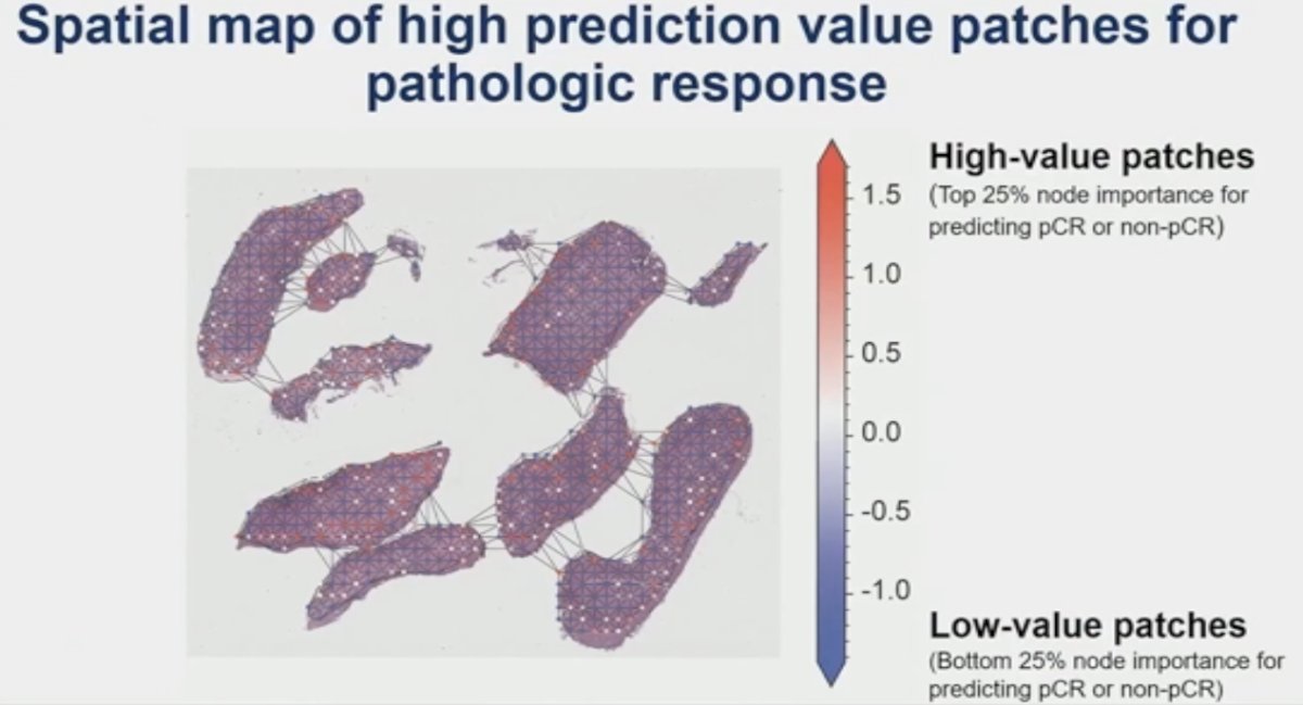 tumor-stromal ratio for such patients was enriched in high attention patches