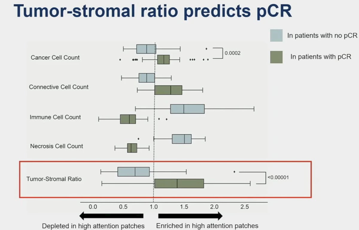 tumor-stromal ratio predicts pCR