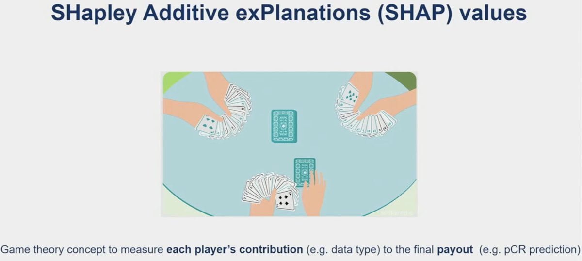 Shapley Additive exPlanations (SHAP) values