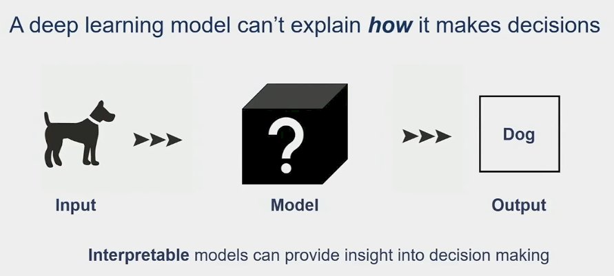 a deep learning model cannot explain how it makes decisions