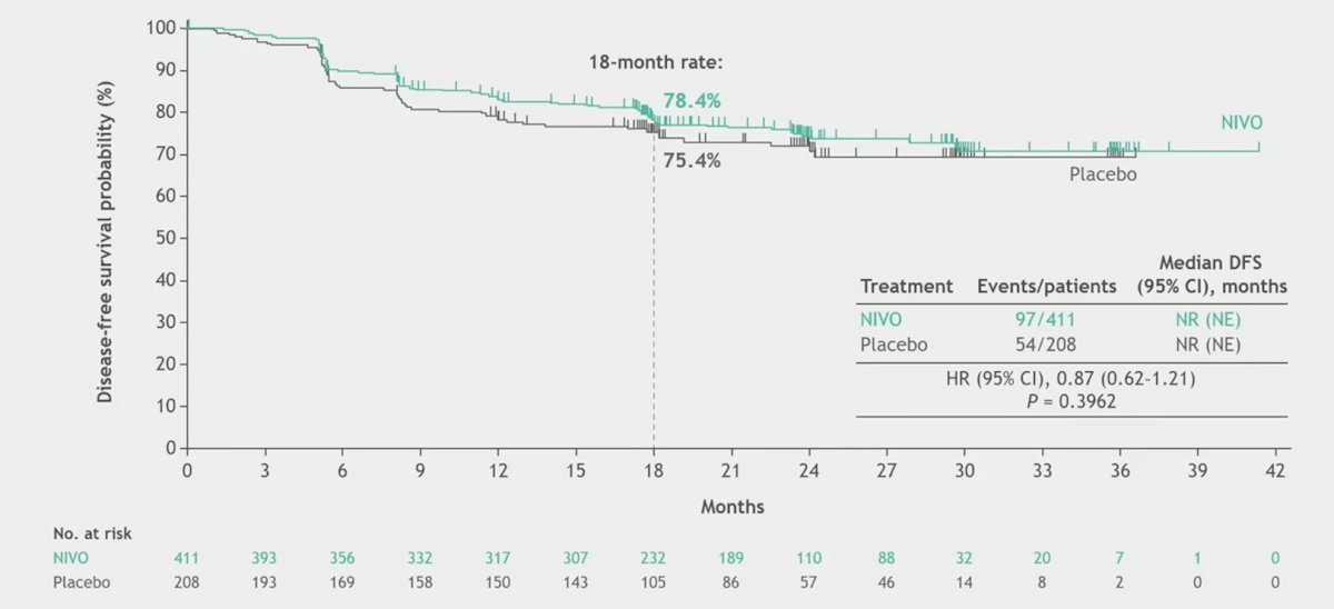 nivolumab monotherapy vs placebo  trial dfs