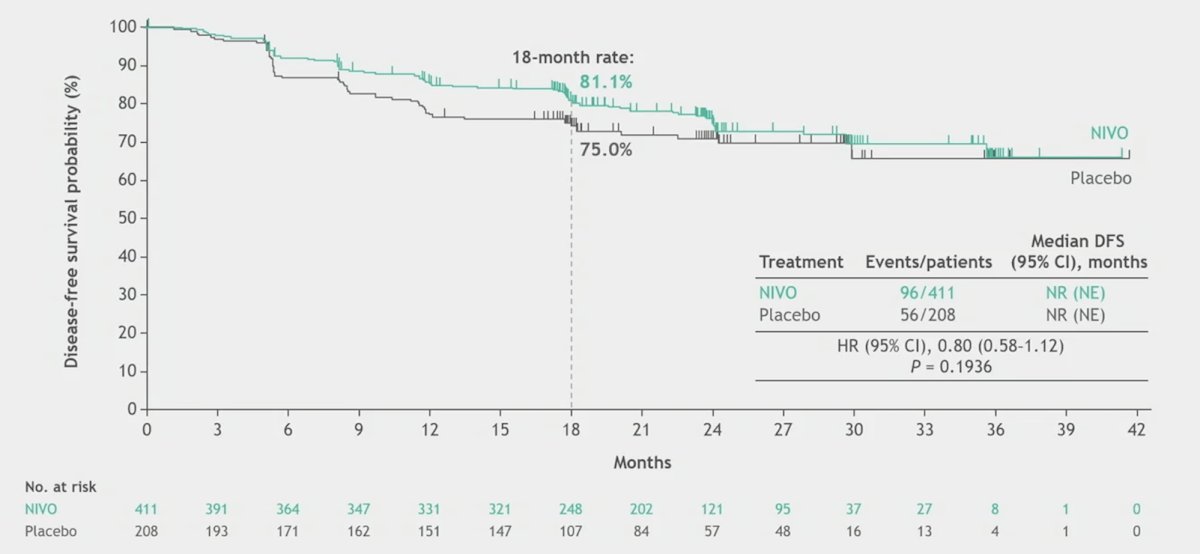 nivolumab monotherapy vs placebo dfs per investigator