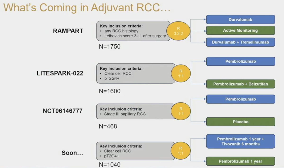 future of adjuvant RCC treatments