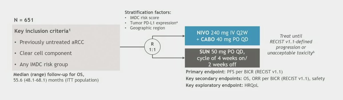 CheckMate 9ER trial stratification