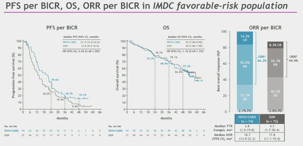 CheckMate 9ER trial favorable risk