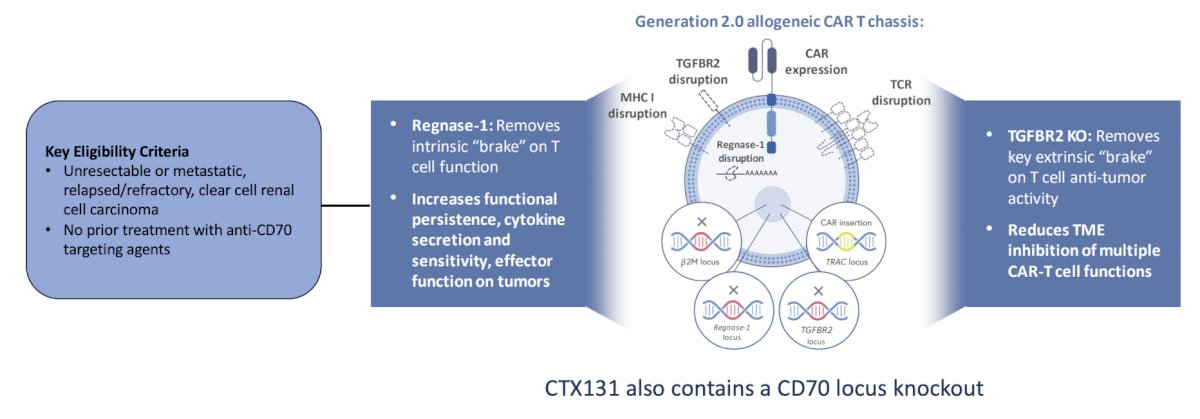 anti-CD70 allogeneic CRISPR-Cas9-Engineered T Cells (CTX131)