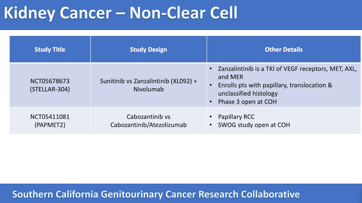 non clear cell kidney cancer trials