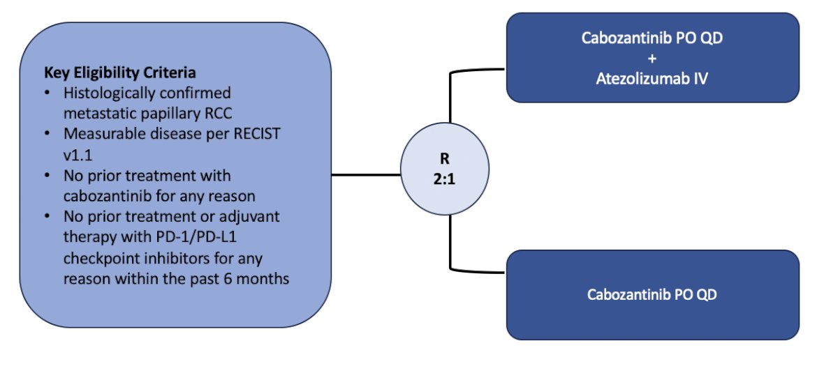 PAPMET2 trial