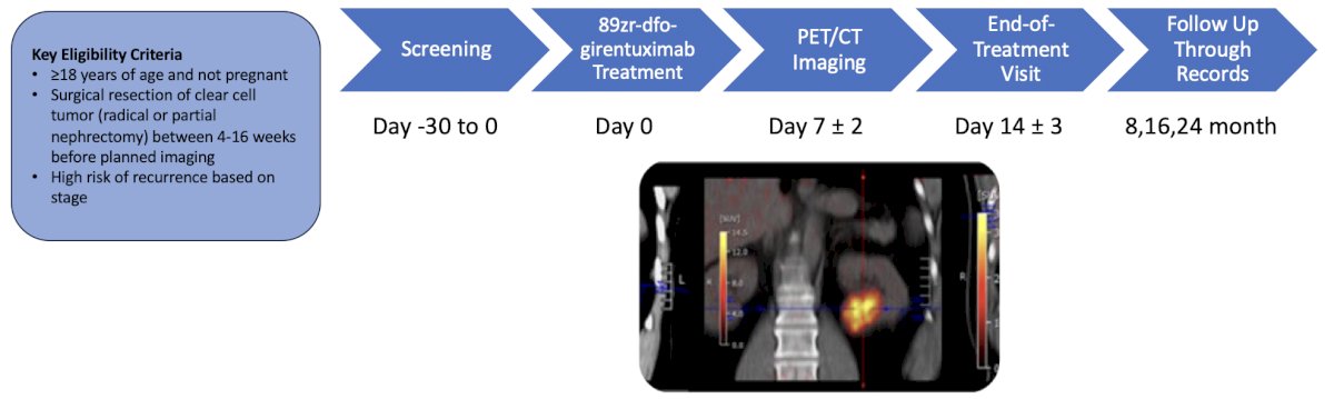 89Zr-TLX250 PET/CT versus contrast-enhanced CT for detection of recurrent clear cell renal cell carcinoma after surgery