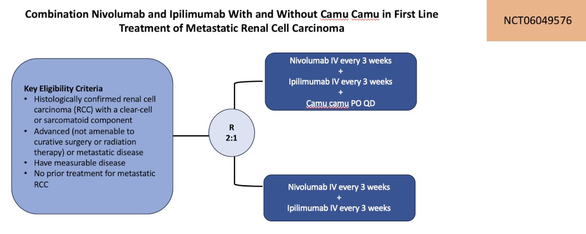 combination of nivolumab + ipilimumab with and without camu camu