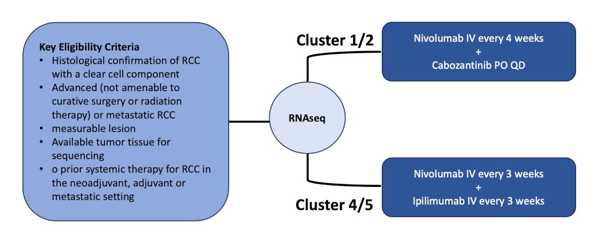 OPTIC RCC Study,