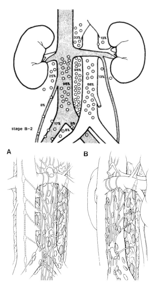 post-ganglionic sympathetic nerve mapping