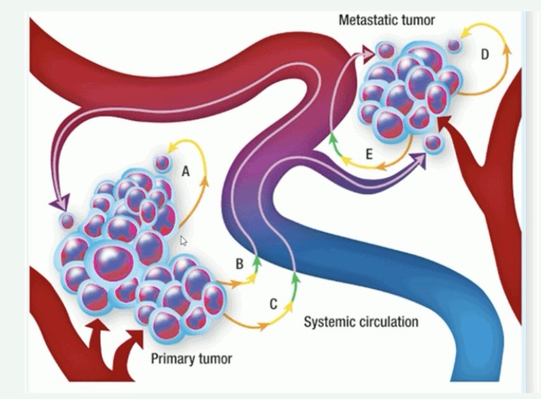 deposits may travel from the primary disease site to lymph nodes, metastases, and many other sites and vice versa