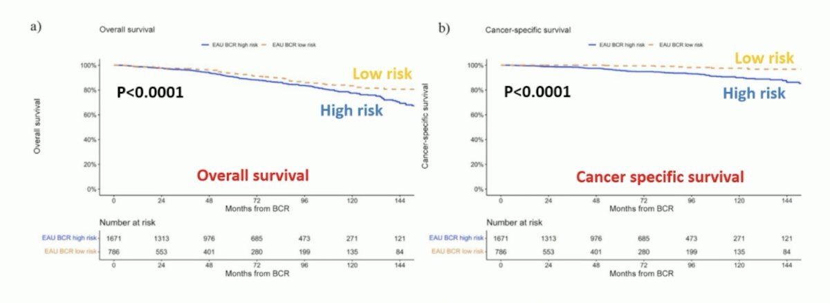 both overall survival (p < 0.0001) and cancer specific survival (p < 0.0001) low risk biochemical recurrence had improved outcomes versus high risk