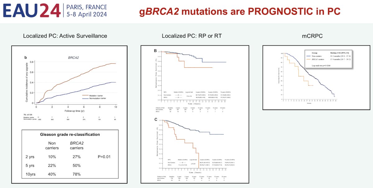 Germline BRCA2 mutations in PC