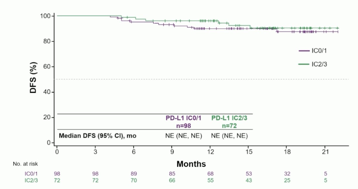 median DFS was not reached in either the PD-L1 IC0/1 or PD-L1 IC2/3 cohort