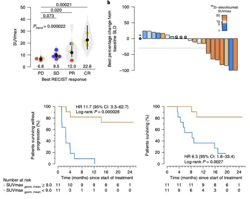  Early data suggests that the tracer uptake may be a strong predictor of response to atezolizumab treatment