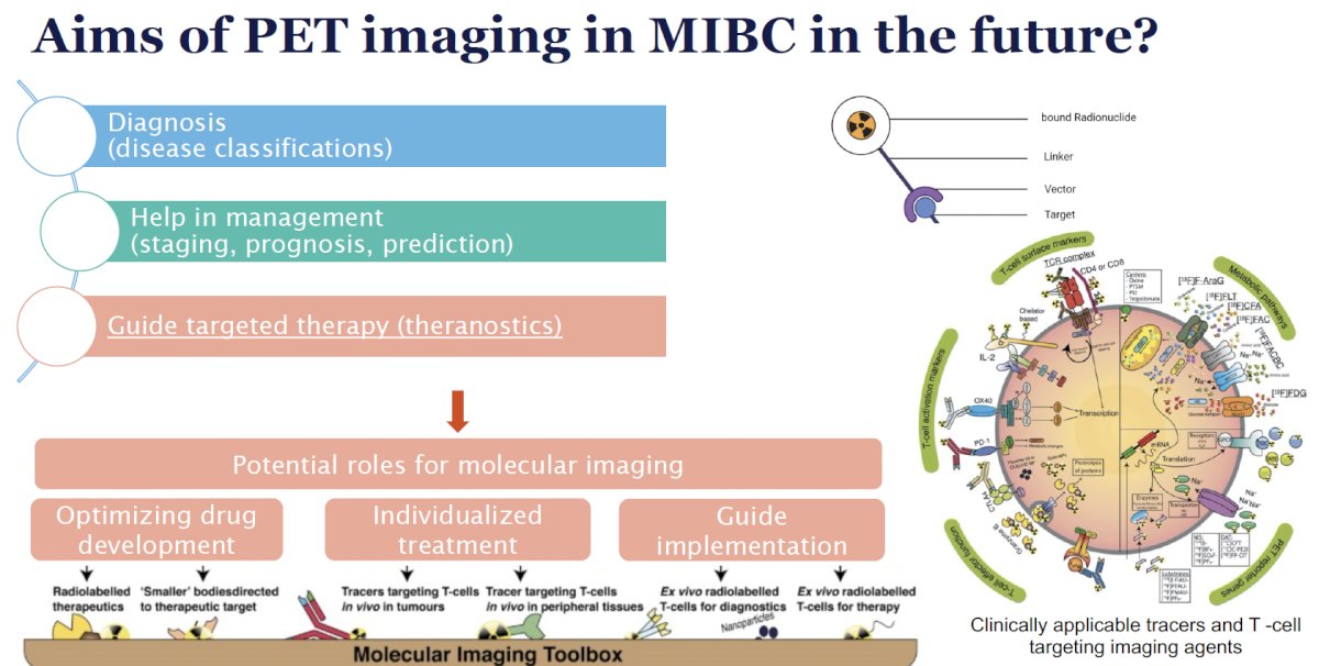 PET imaging in muscle-invasive bladder cancer in the future