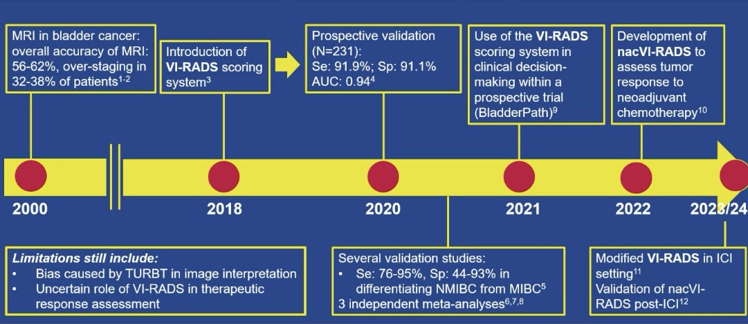 VI-RADS timeline