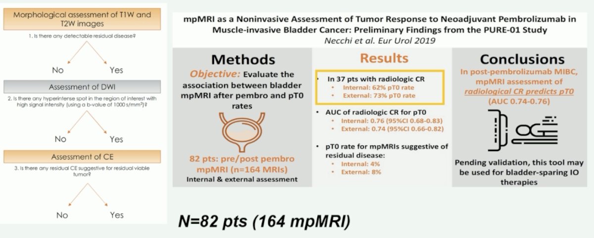 PURE-01 trial of neoadjuvant pembrolizumab in MIBC