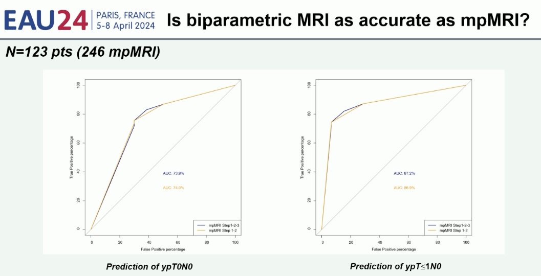 biparametric imaging